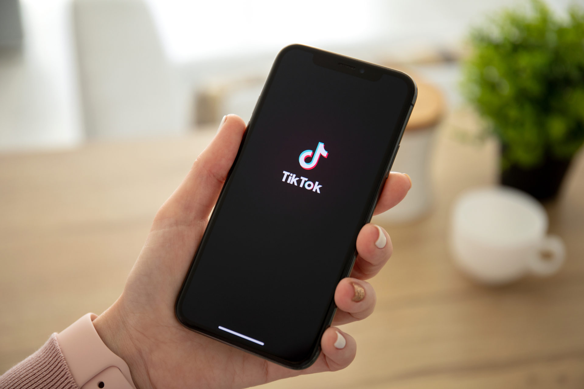 TikTok - The Ultimate Guide on how to use TikTok for Your Business